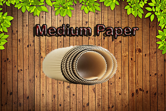 MEDIUM PAPER